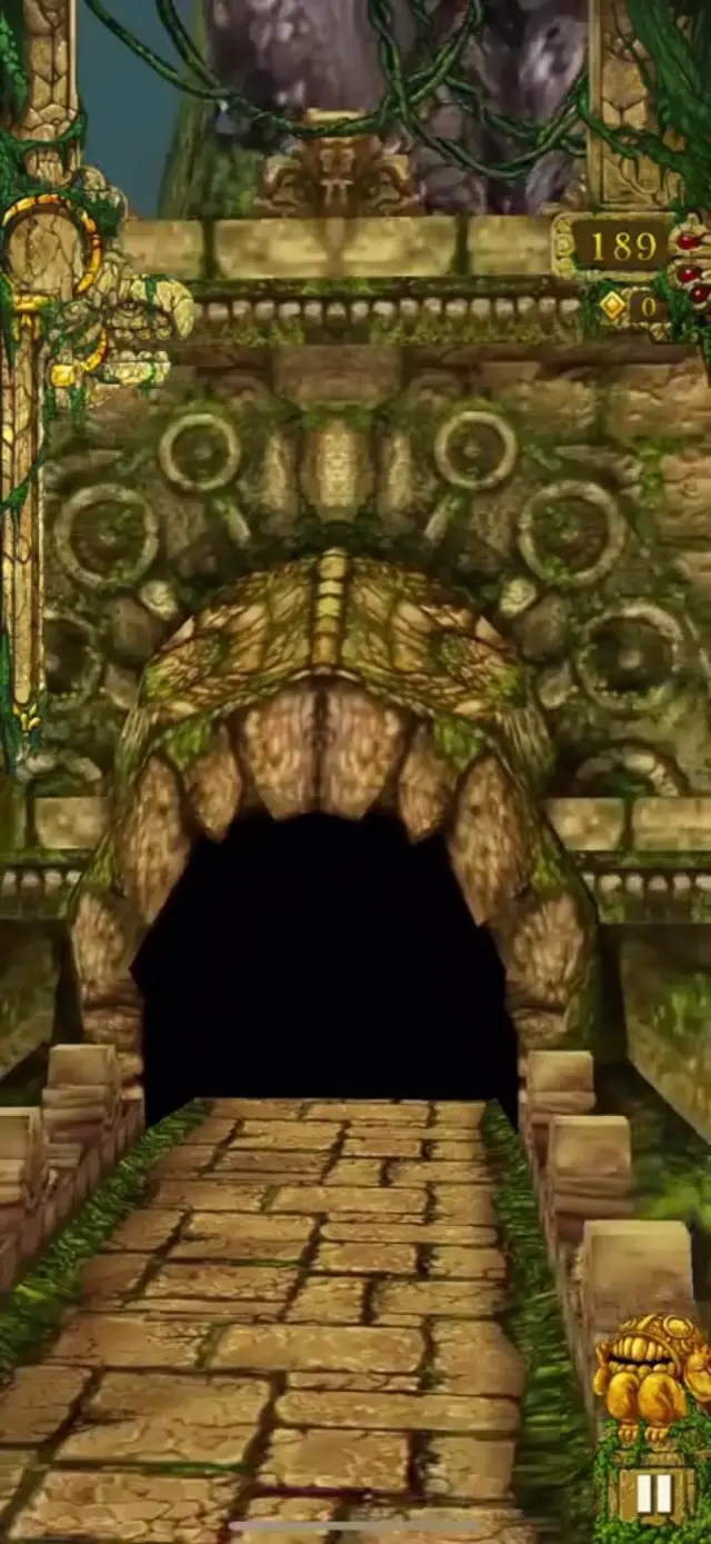Temple Run Tunnel gameplay background